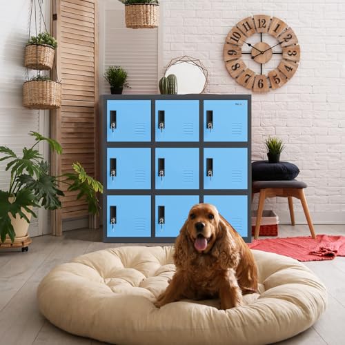 Lockable Storage Cabinet, Metal Cabinet Locker Bedroom Storage with Key Lock, Lockable Storage Steel Organizers Home Office Garage (W9D, Blue)