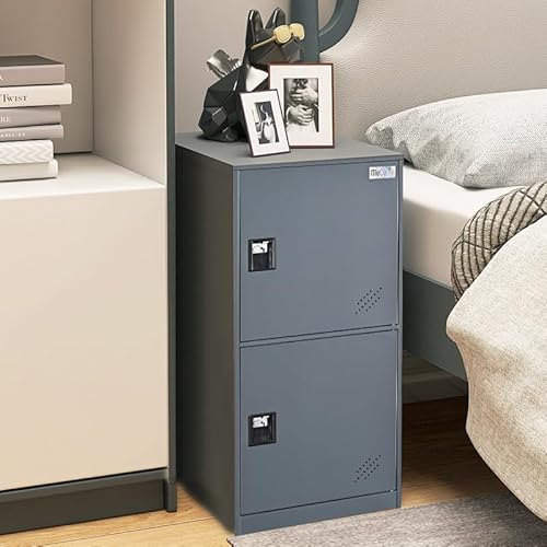 Small Vertical Locker Steel Cabinet, Lockable Metal Storage Cabinet with Organizers Tool Box Free Standing, Filing Cabinet Office,Factory, Company (P2D, Gray)