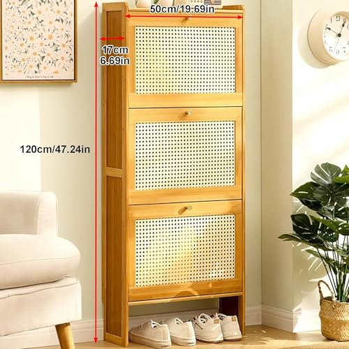 HOBIBA Narrow Shoe Cabinet, Shoe Cabinet for Entryway, Shoe Cabinet with Doors, Slim Shoe Cabinet Shoe Organizers(Size:50 * 120cm