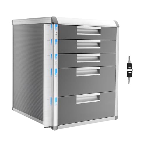 Desk Drawer Organizers,Storage File Boxes Desktop Office File Cabinet Storage Filing Cabinet w/Label Lock,Portable Home Office Filing Cabinet (5 Drawers)