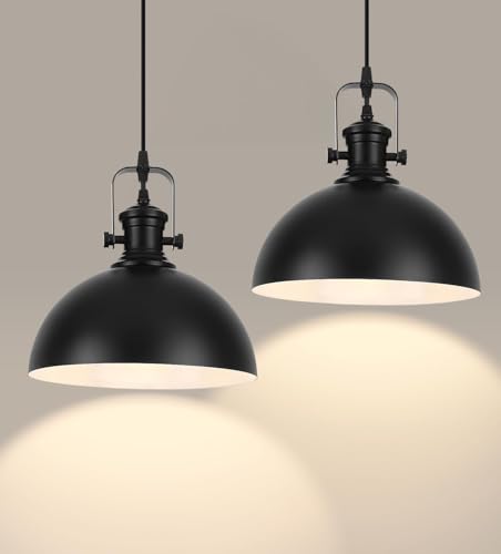 LWWHQ Black Pendant Lights 2 Pack