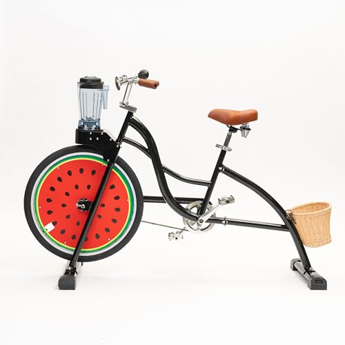 Beach Party Blender Bike - Stationary Smoothie Blender & Juicer Smoothie Bike/customized Cheap juicer blender bike Stationary bike (Black)