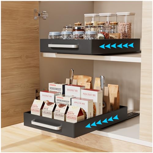 Pull Out Cabinet Organizer