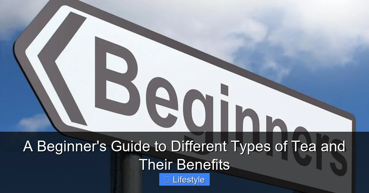 Featured image for A Beginner's Guide to Different Types of Tea and Their Benefits