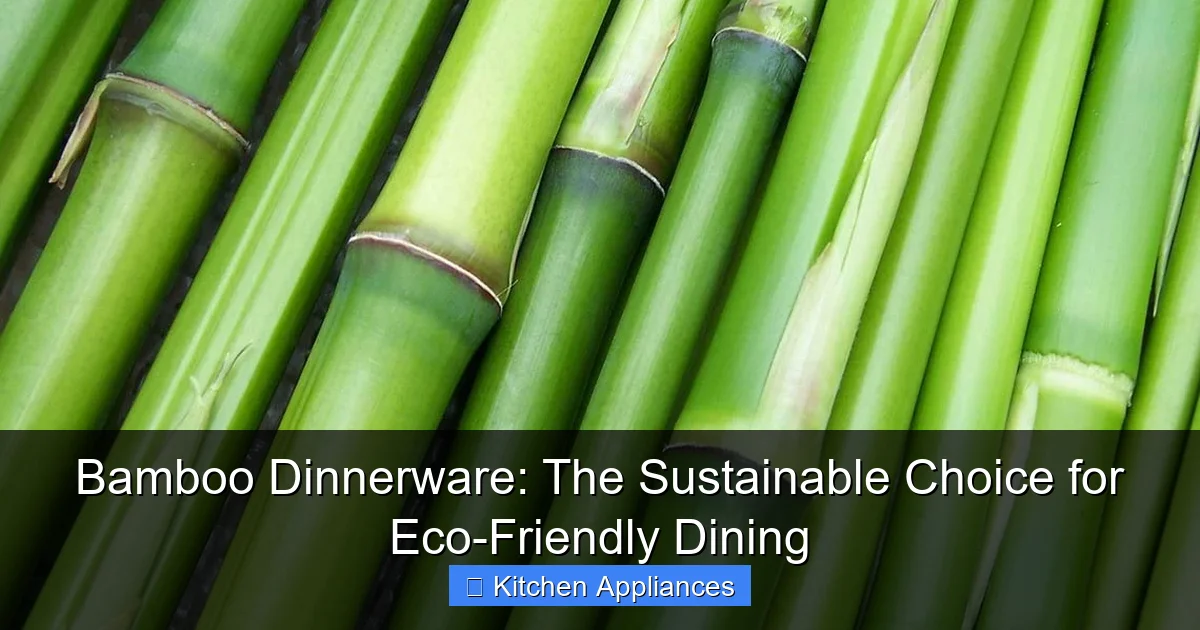 Bamboo Dinnerware: The Sustainable Choice for Eco-Friendly Dining - content1 visual guide