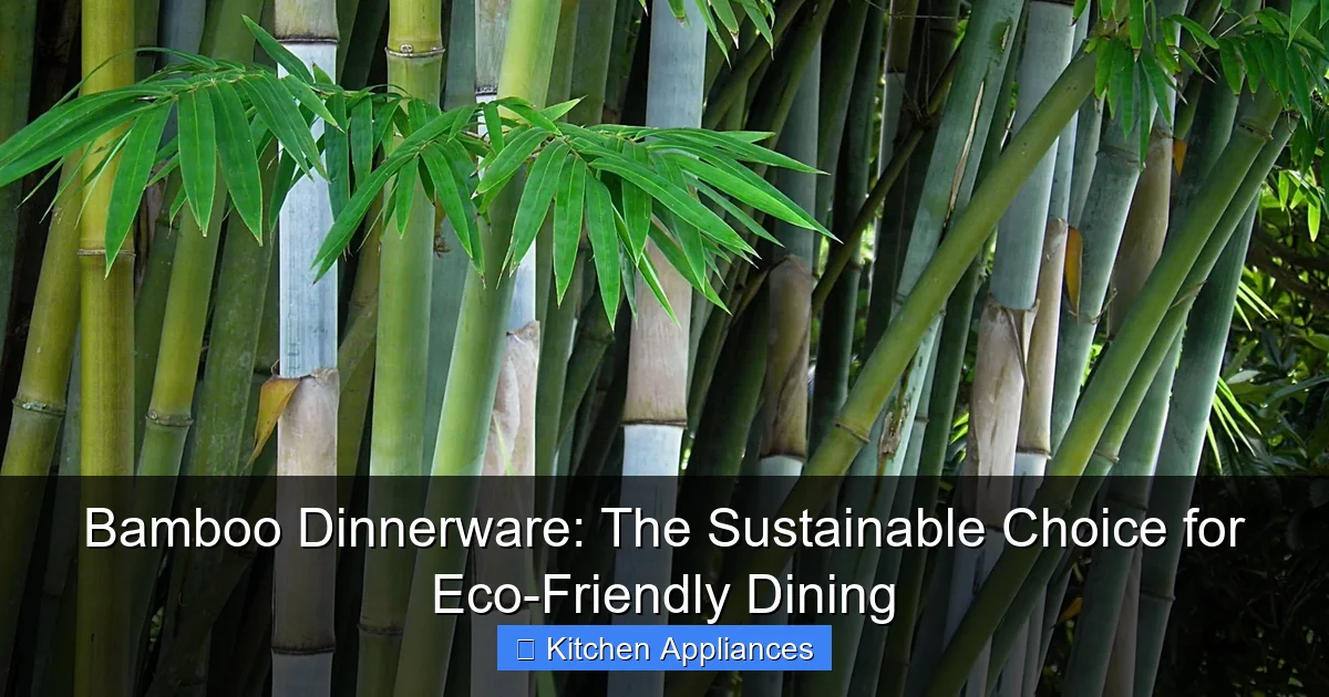 Bamboo Dinnerware: The Sustainable Choice for Eco-Friendly Dining - content2 visual guide