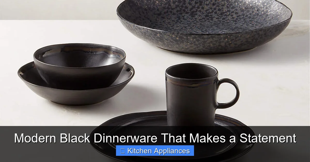 Modern Black Dinnerware That Makes a Statement - content2 visual guide
