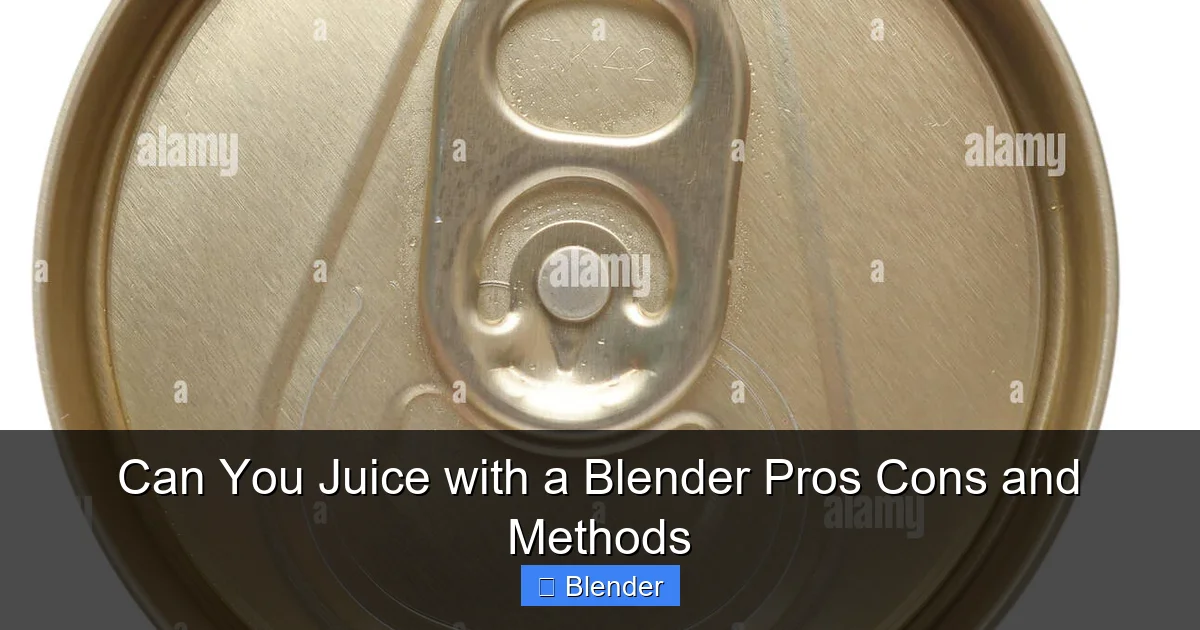 Can You Juice with a Blender Pros Cons and Methods - content1 visual guide
