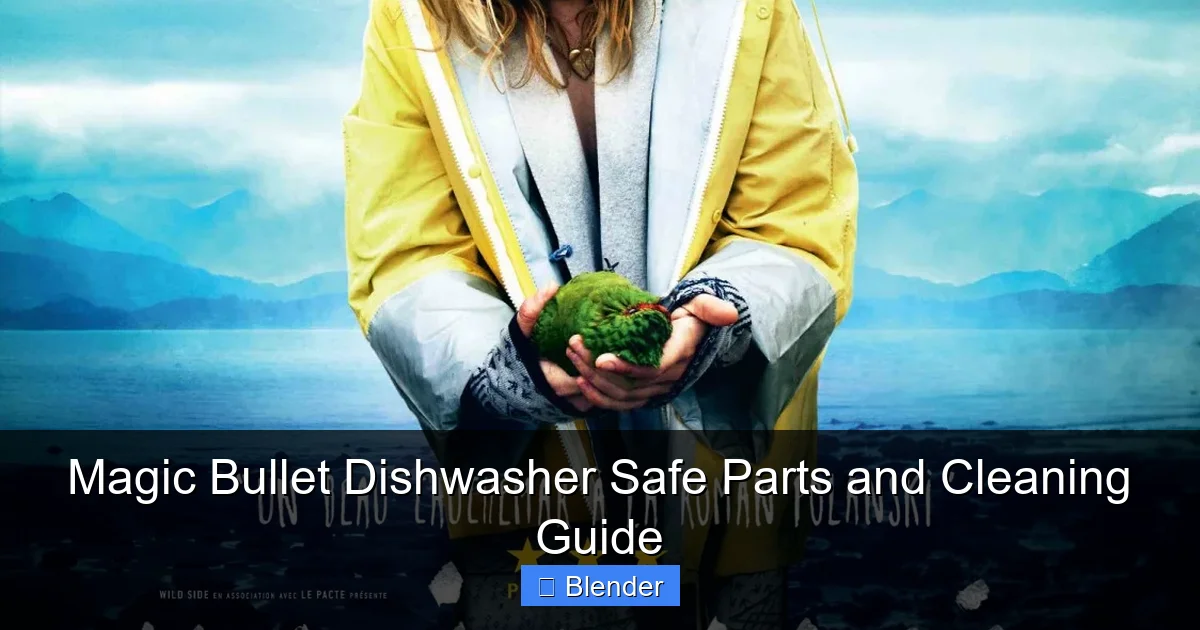 Magic Bullet Dishwasher Safe Parts and Cleaning Guide - content2 visual guide