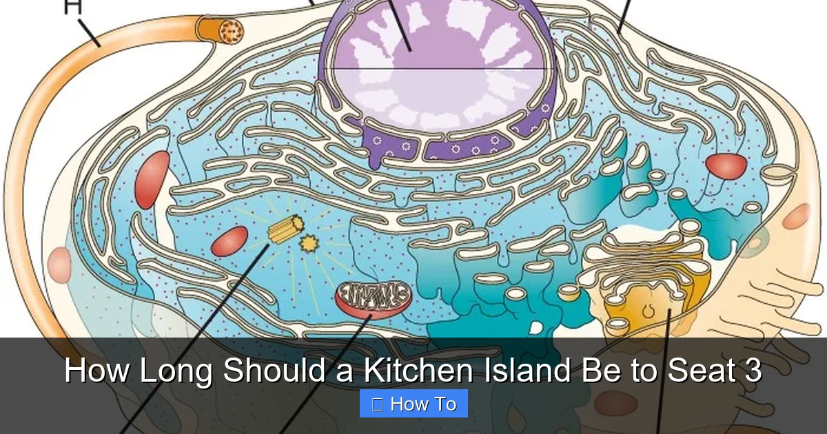 How Long Should a Kitchen Island Be to Seat 3 - content2 visual guide