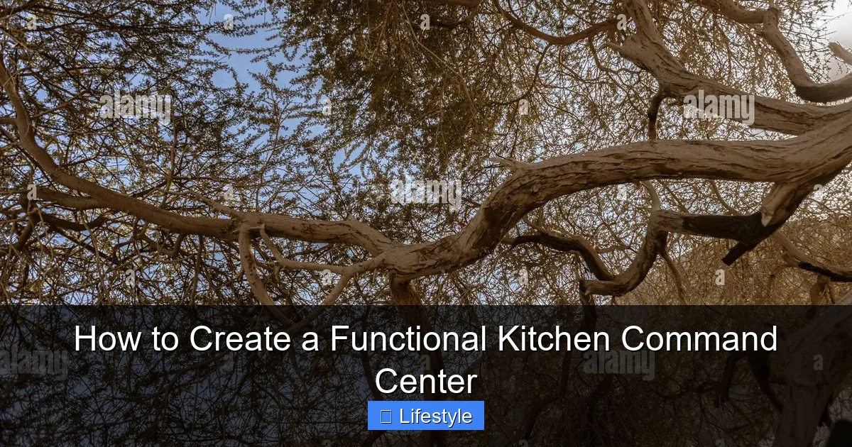 How to Create a Functional Kitchen Command Center - content1 visual guide