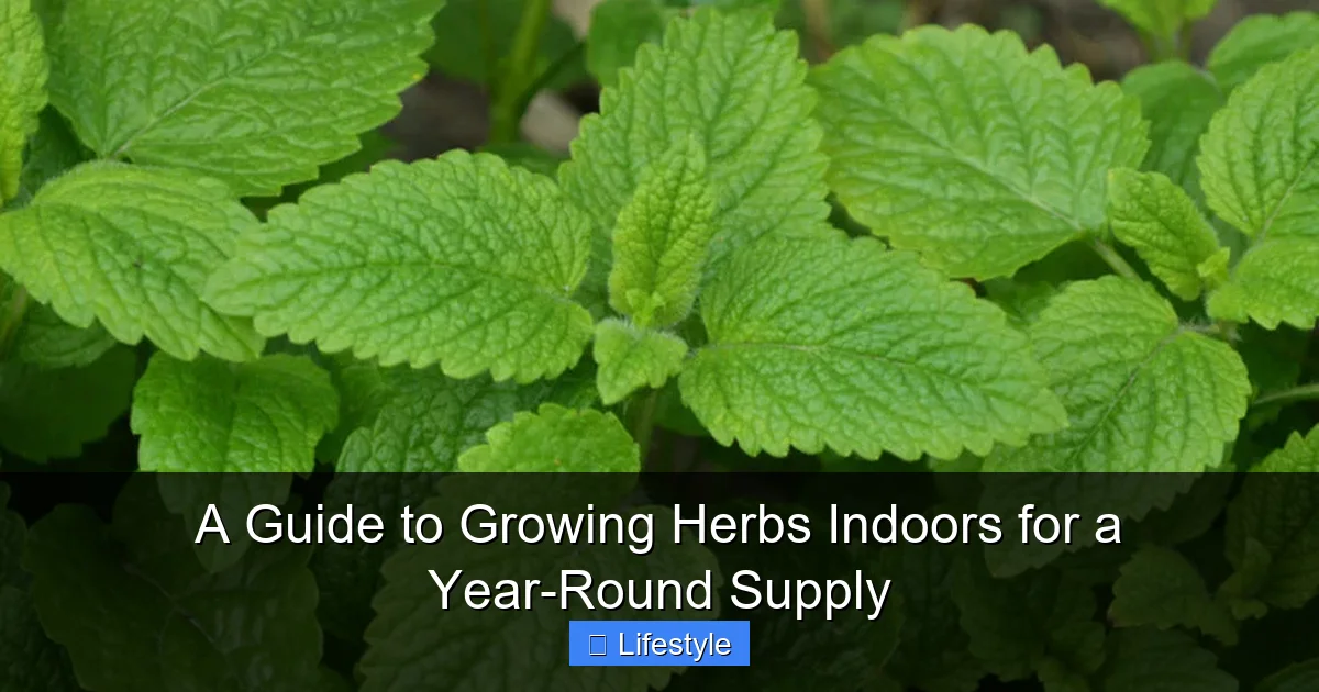 A Guide to Growing Herbs Indoors for a Year-Round Supply - content1 visual guide