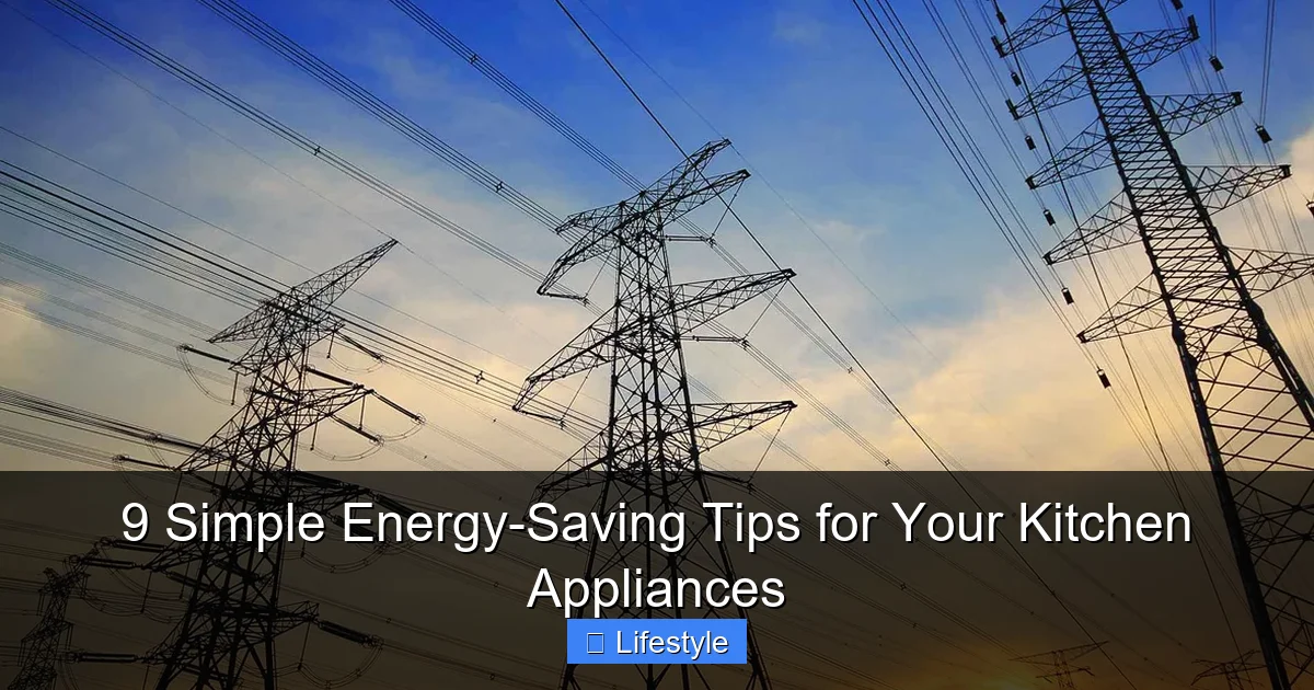 9 Simple Energy-Saving Tips for Your Kitchen Appliances - content1 visual guide