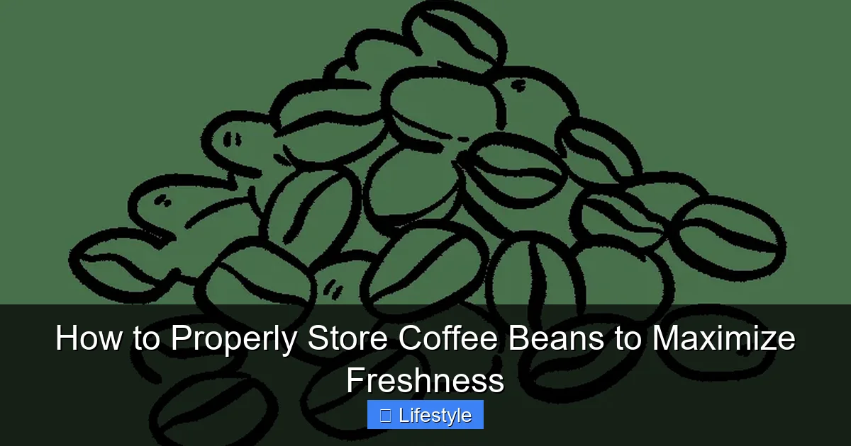 How to Properly Store Coffee Beans to Maximize Freshness - content2 visual guide