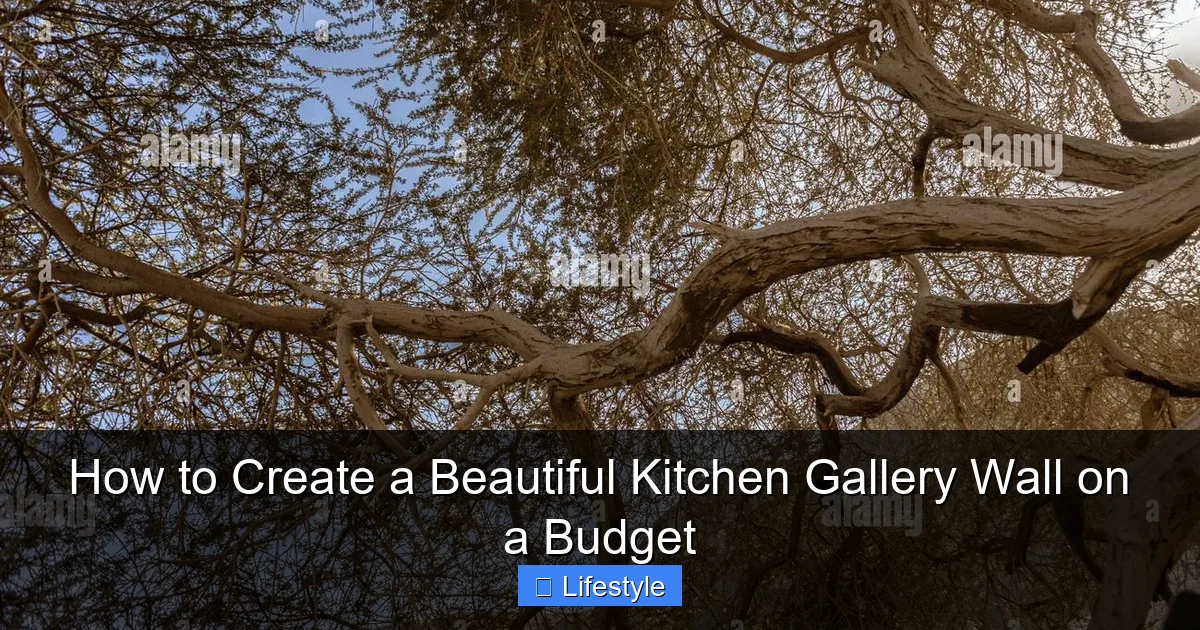 Featured image for How to Create a Beautiful Kitchen Gallery Wall on a Budget