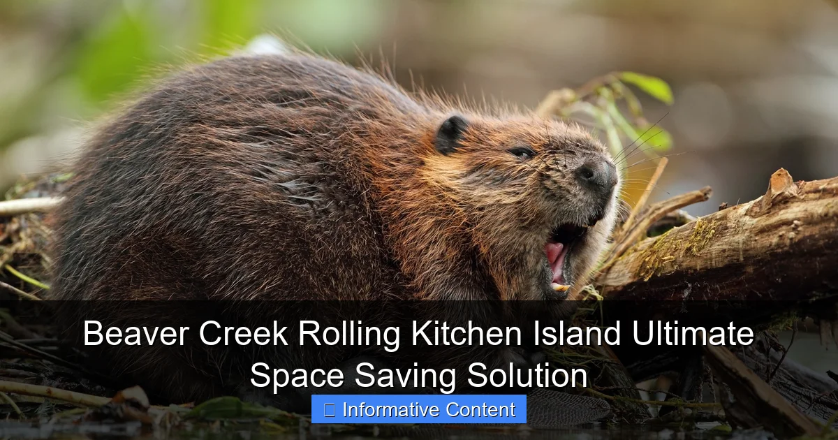 Beaver Creek Rolling Kitchen Island Ultimate Space Saving Solution