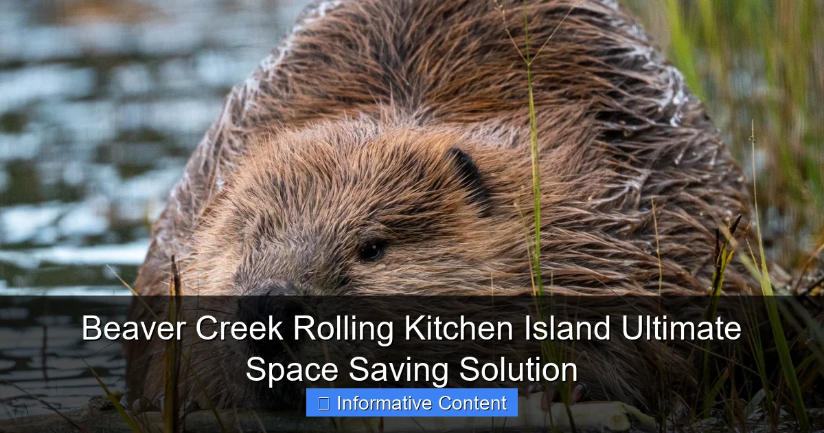Beaver Creek Rolling Kitchen Island Ultimate Space Saving Solution