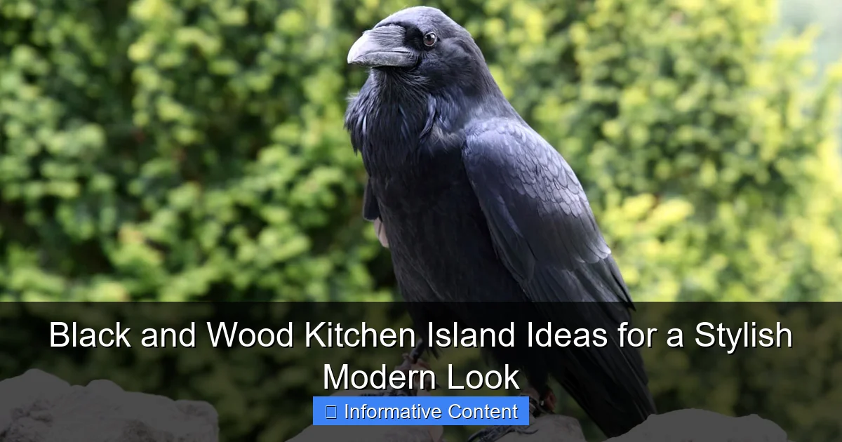 Black and Wood Kitchen Island Ideas for a Stylish Modern Look
