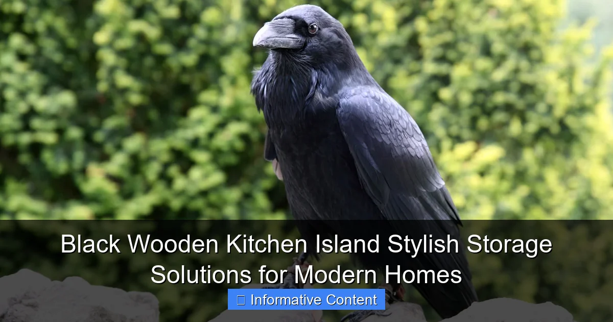 Black Wooden Kitchen Island Stylish Storage Solutions for Modern Homes