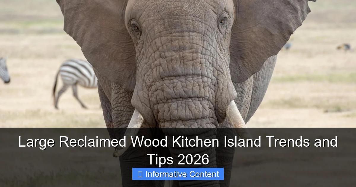 Large Reclaimed Wood Kitchen Island Trends and Tips 2026