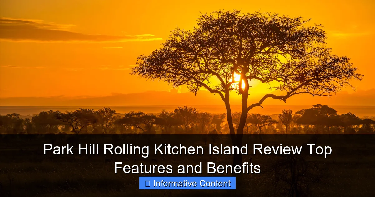 Park Hill Rolling Kitchen Island Review Top Features and Benefits