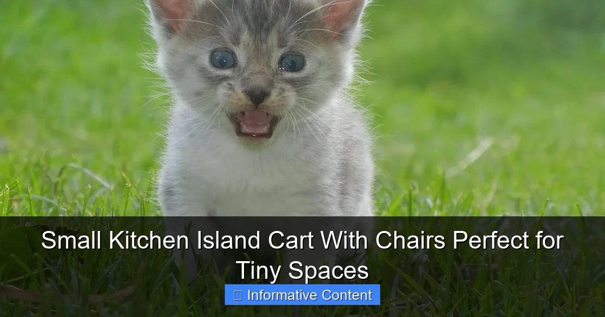 Small Kitchen Island Cart With Chairs Perfect for Tiny Spaces