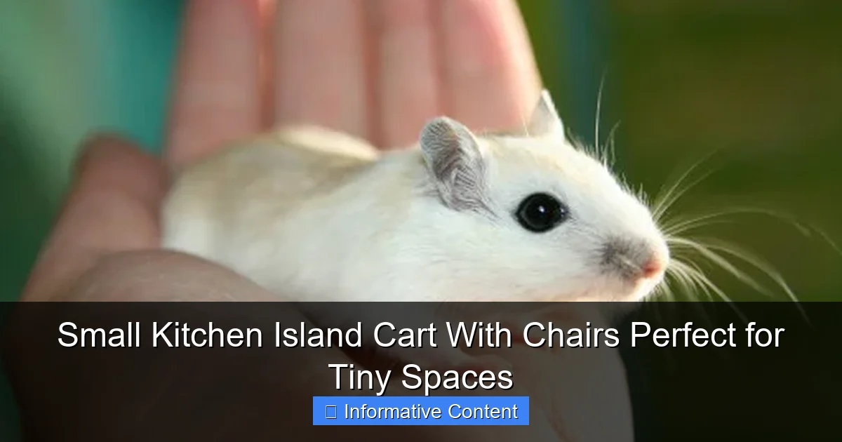 Small Kitchen Island Cart With Chairs Perfect for Tiny Spaces
