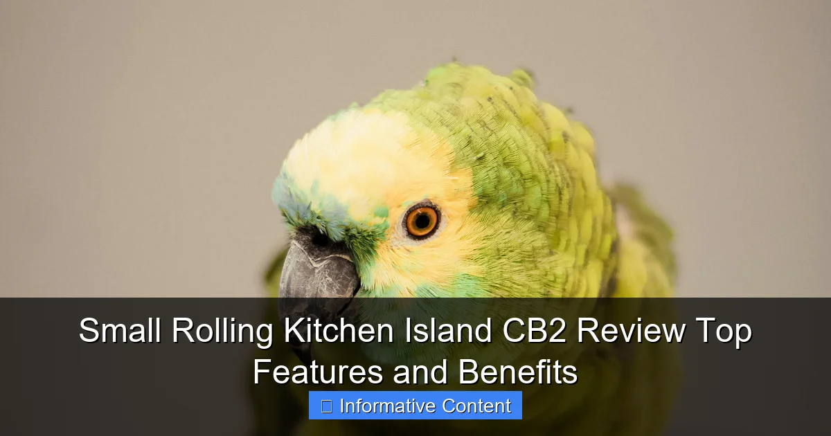 Small Rolling Kitchen Island CB2 Review Top Features and Benefits