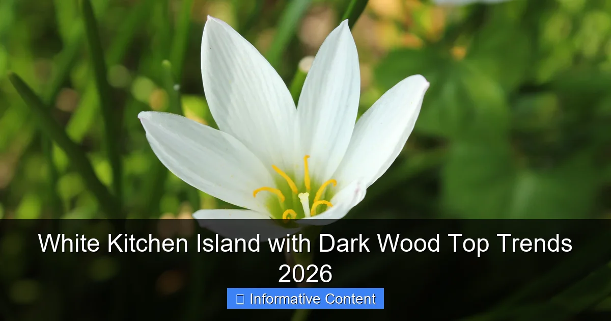 White Kitchen Island with Dark Wood Top Trends 2026
