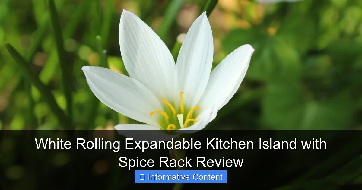 White Rolling Expandable Kitchen Island with Spice Rack Review