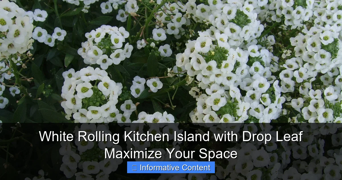 White Rolling Kitchen Island with Drop Leaf Maximize Your Space